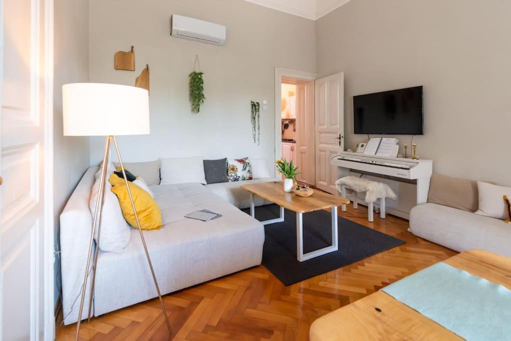 No.8: Lovely & Cosy 3-Room Heart Of The City Timisoara Ngoại thất bức ảnh