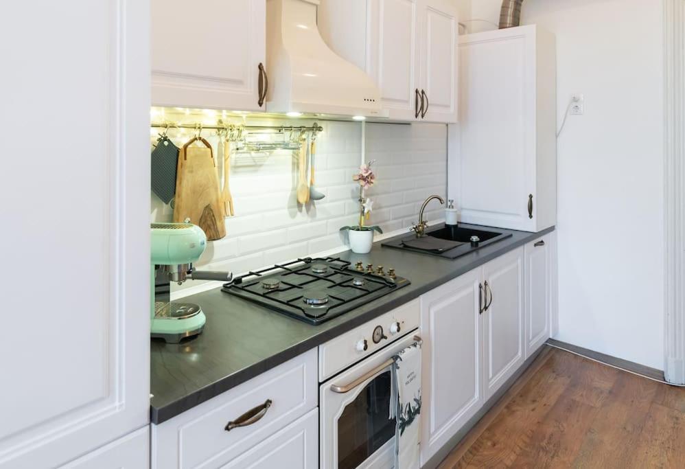 No.8: Lovely & Cosy 3-Room Heart Of The City Timisoara Ngoại thất bức ảnh