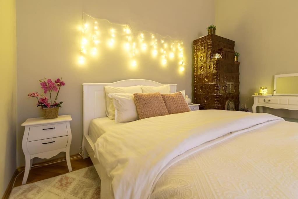 No.8: Lovely & Cosy 3-Room Heart Of The City Timisoara Ngoại thất bức ảnh