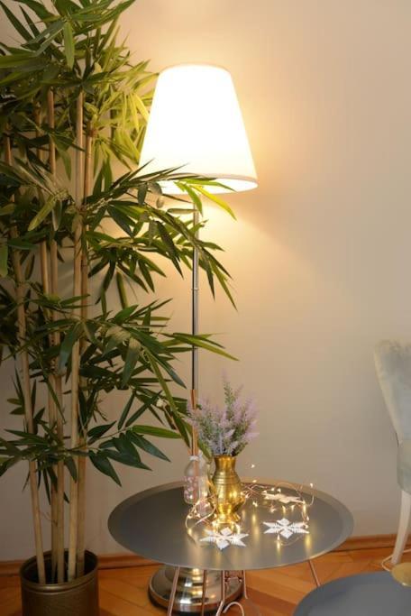 No.8: Lovely & Cosy 3-Room Heart Of The City Timisoara Ngoại thất bức ảnh