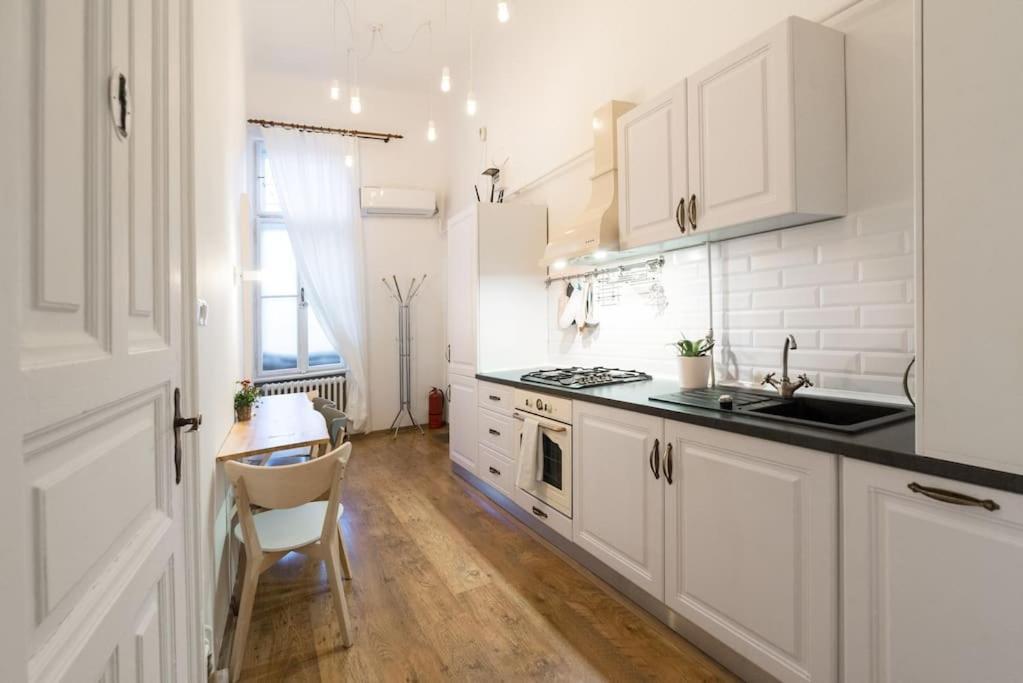 No.8: Lovely & Cosy 3-Room Heart Of The City Timisoara Ngoại thất bức ảnh